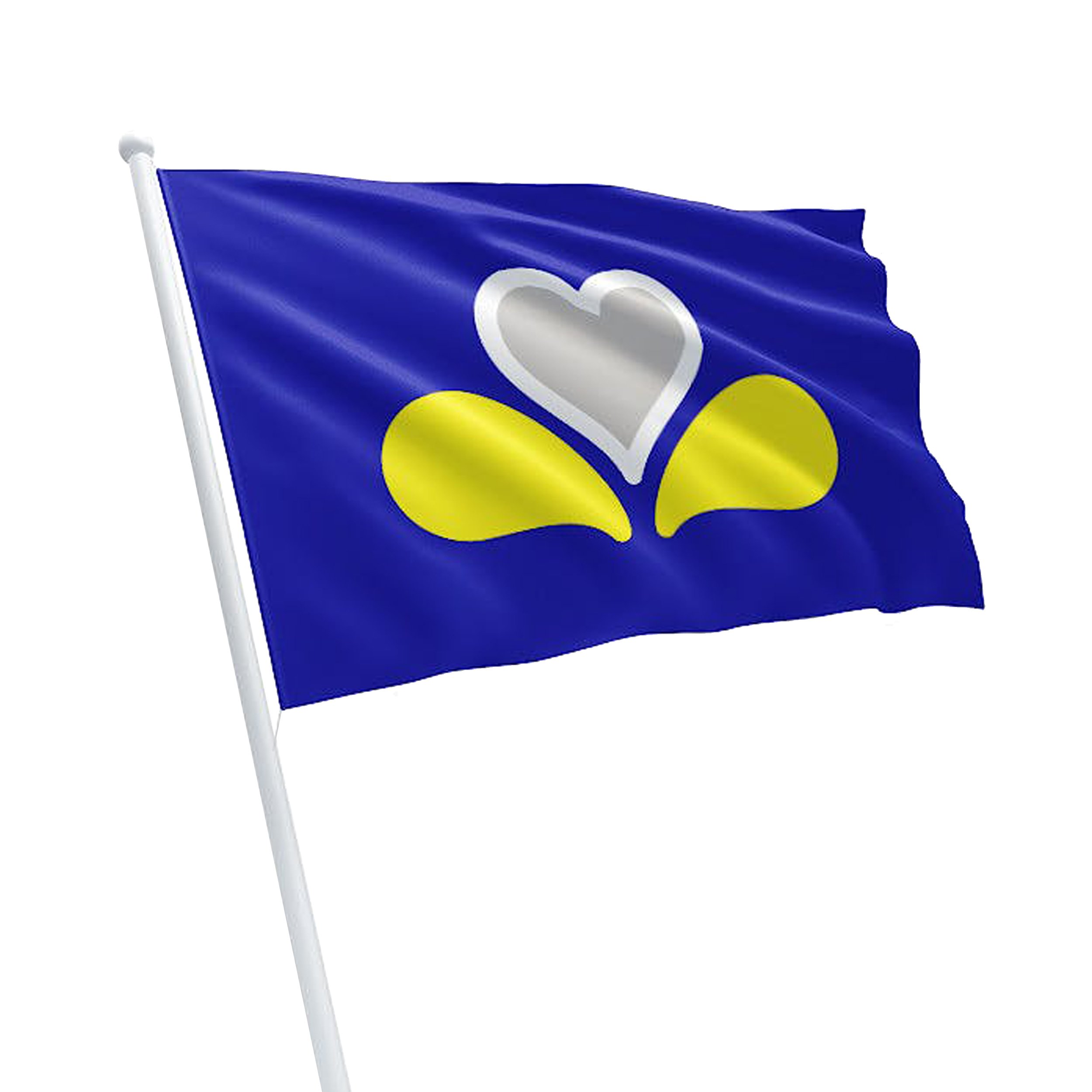 Vlag van promo brussel