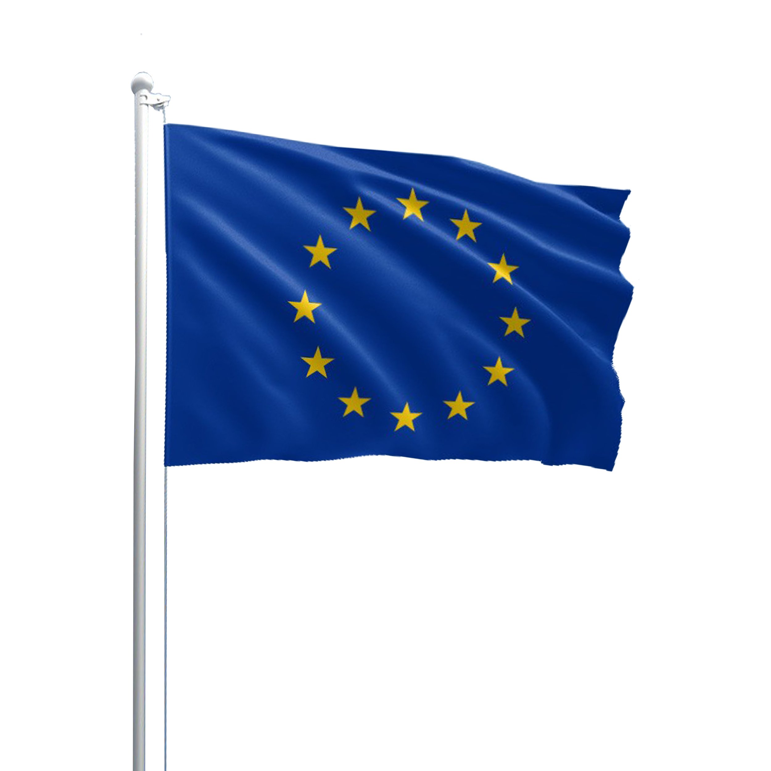 Choice of Sizes European Union EU Polyester Flag 