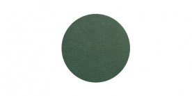 Dark green (7928 - 343 U)