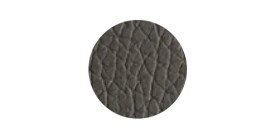 Gris (5564)