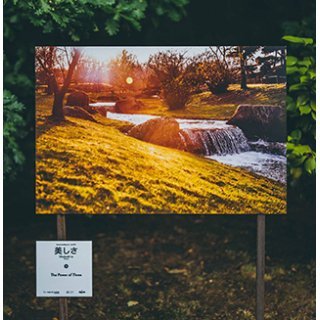 Japanischer Garten Hasselt