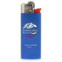 BIC J25 lighter