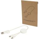 Bullet Citala câble 5 en 1 de 30 cm pour la synchronisation des données et la charge rapide