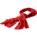 Bullet Columbus scarf