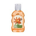 Care & More hand cleansing gel