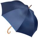 Citizen Green Drache 23 inch Regenschirm aus recyceltem Material