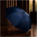 Citizen Green Drache 23 inch Regenschirm aus recyceltem Material