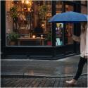 Citizen Green Ondee 22 inch faltbarer Regenschirm aus recyceltem Material