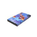 DN White Lake Pro HDD externe 500 GB