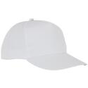 Elevate Essentials 5 Panel Hades Kappe