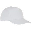 Elevate Essentials 5 Panel Hades Kappe