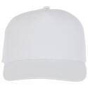 Elevate Essentials Hades 5 panel cap