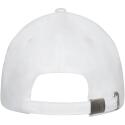 Elevate Life Davis 6 Panel Kappe