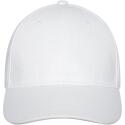 Elevate Life Davis 6 panel pet