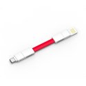 inCharge 6 Light all-in-one cable