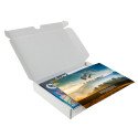 Jeu de cartes Qwixx