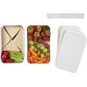 MIYO Pure double layer lunch box