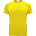 Roly Bahrain sport T-shirt voor heren