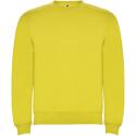 Roly Clasica unisex sweatshirt (Kids)