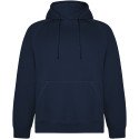 Roly Vinson unisex hoodie