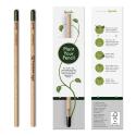 Sprout Bleistift