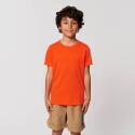 Stanley Creator & Stella Expresser & Mini Creator T-shirt