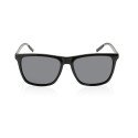 Swiss Peak RCS rplastic polarized sunglasses