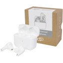 Tekio® Anton Advanced ENC earbuds