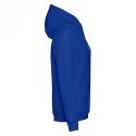 TH Clothes Phoenix sweat à capuche unisexe 320 g