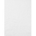 Vinga Birch 40 x 70 cm guest towel