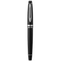 Waterman Expert fountain pen