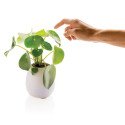 XD Collection Blumentopf-Lautsprecher