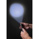 XD Collection Cree heavy-duty flashlight