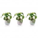 XD Collection flowerpot speaker