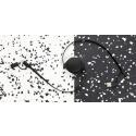 XD Collection RCS standaard recycled plastic and TPE 6-in-1 kabel