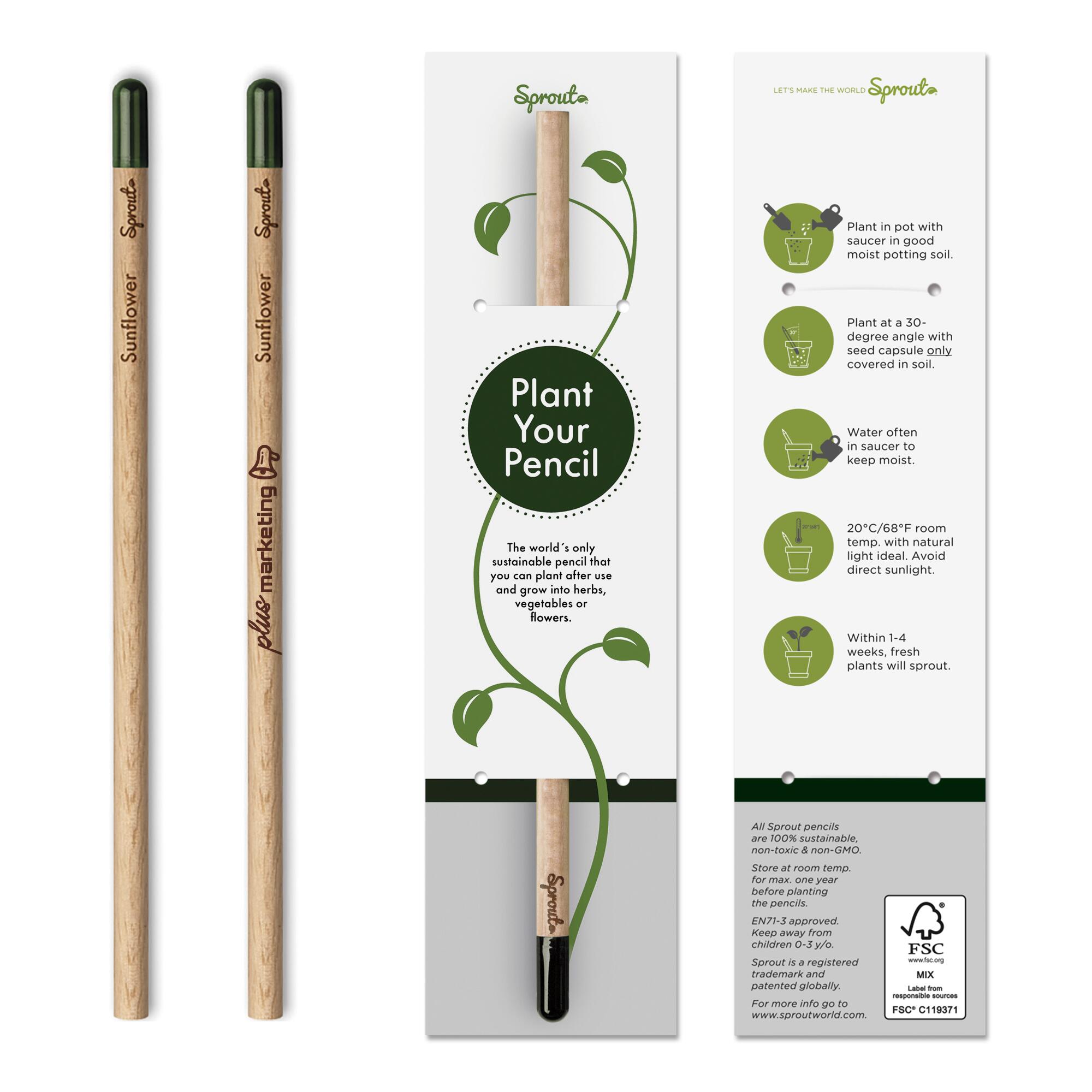 Sprout Bleistift