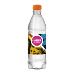 Drinks & More rPET waterfles 500 ml