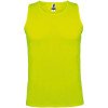 Fluor Yellow