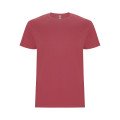 Chrysanthemum Red