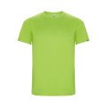 Citron vert / Vert citron