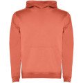 Corail