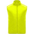 Fluor Yellow