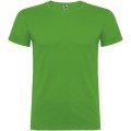 Grass Green