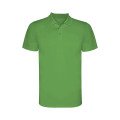 Green Fern