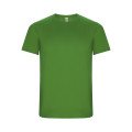 Green Fern