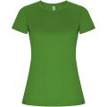 Green Fern