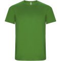 Green Fern
