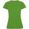Green Fern