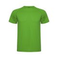 Green Fern