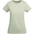 Mist Green